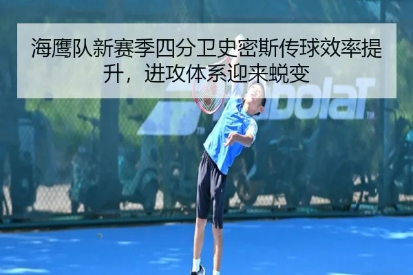 海鹰队新赛季四分卫史密斯传球效率提升，进攻体系迎来蜕变