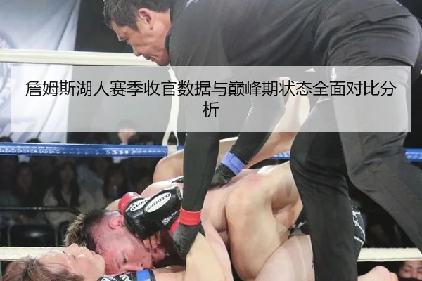 詹姆斯湖人赛季收官数据与巅峰期状态全面对比分析